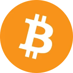 Bitcoin icon